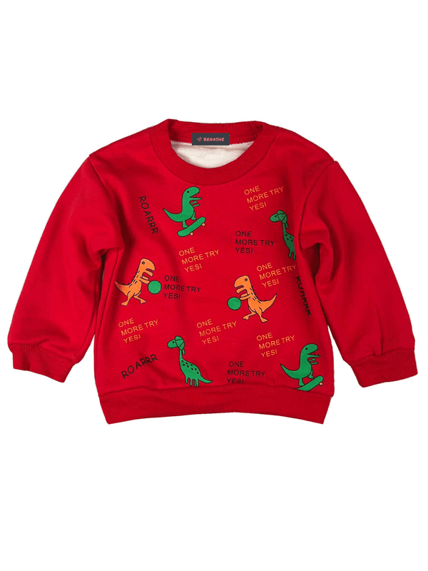 Baby T-Shirt / Baby Dino sweat shirt